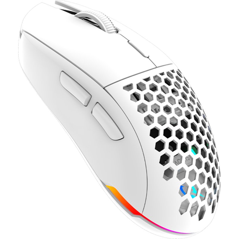 Mouse AQIRYS TGA Alfa Wireless