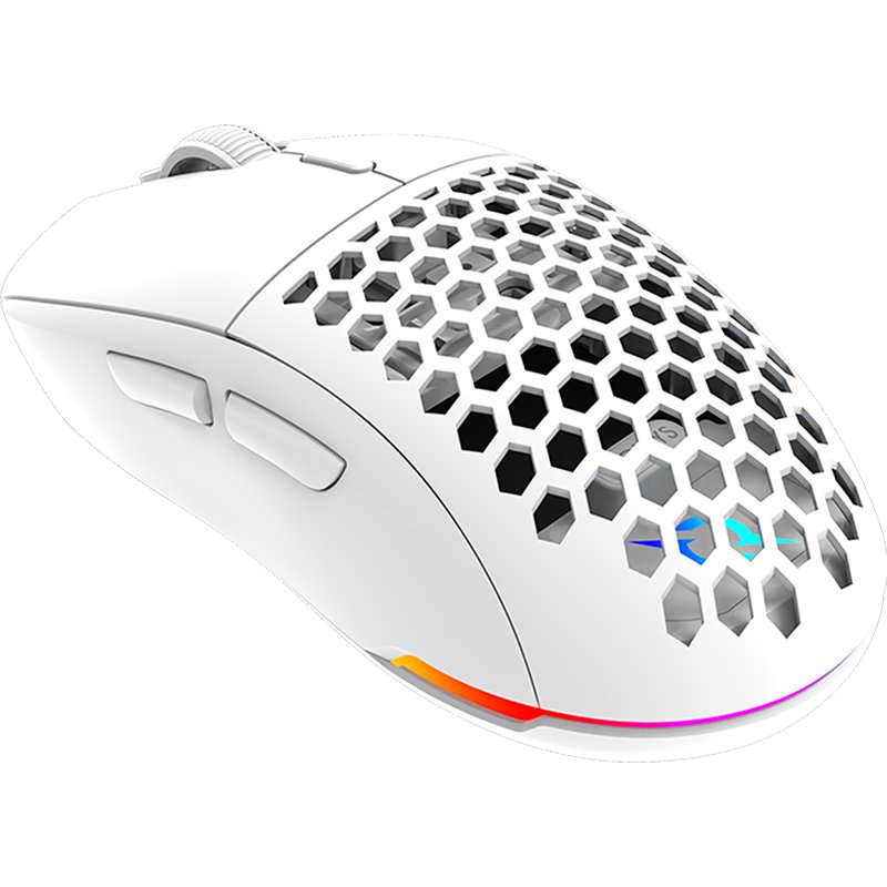 Mouse AQIRYS TGA Alfa Wireless