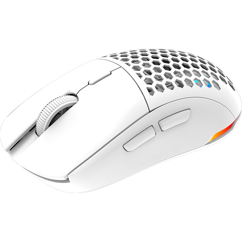 Mouse AQIRYS TGA Alfa Wireless