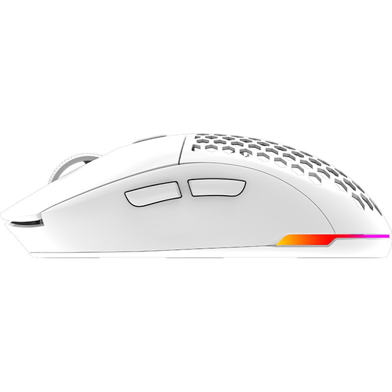 Mouse AQIRYS TGA Alfa Wireless