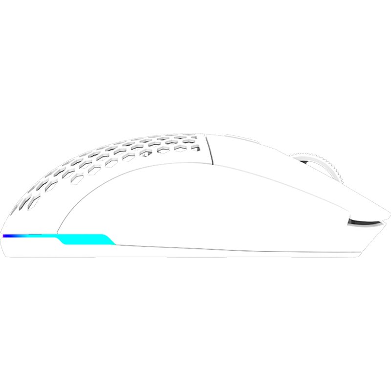 Mouse AQIRYS TGA Alfa Wireless