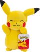 POKEMON PLUSH PICKACHU 8