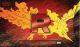 Pokemon Trading Cards: Team Rocket's Moltres Ex Ultra - Premium Collection