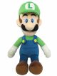 AC02 LUIGI S