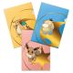 Ultra PRO Pokemon TCG - Tournament Folios 3-Pack Series 2