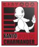 Ultra PRO Pokemon TCG - Charmander Kanto 9-Pocket Portfolio