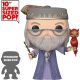 Funko Pop Harry Potter: Harry Potter 10