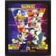 Sonic The Hedgehog (Select Your Fighter) Framed 3D